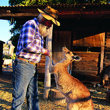 Australier mit Känguru, Australien Studienreisen