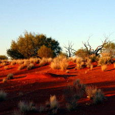 Outback Australien